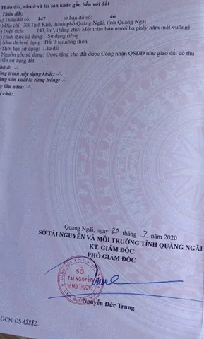 Bất động sản tại Quảng Ngãi - ảnh 1