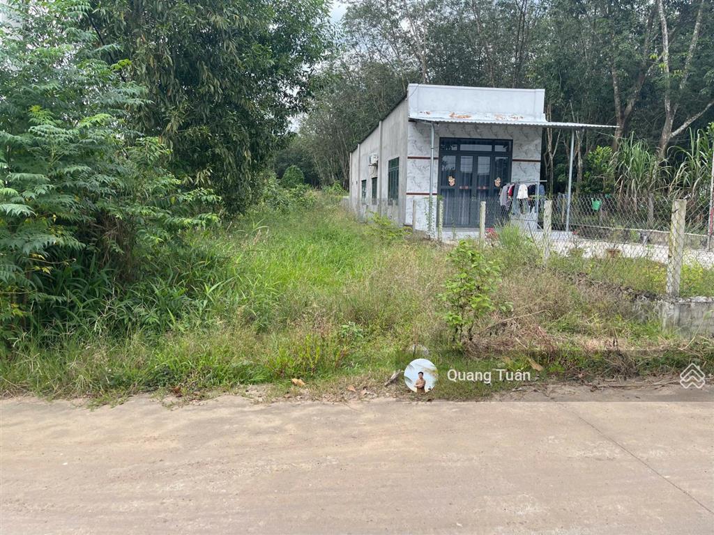 Bất động sản tại Bình Dương - ảnh 1