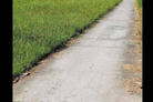 Bất động sản tại Bến Tre - ảnh 1