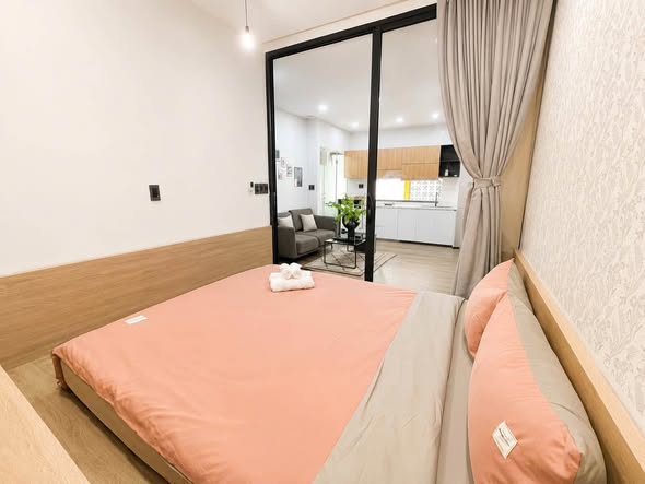 Bất động sản tại Đà Nẵng - ảnh 1