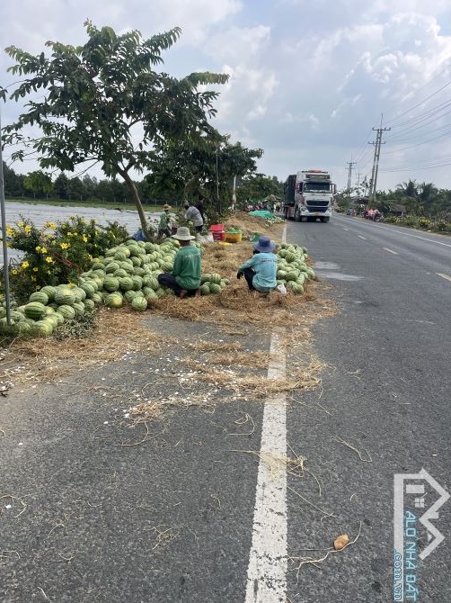 Bất động sản tại Cần Thơ - ảnh 1