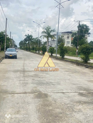 Bất động sản tại Cà Mau - ảnh 1