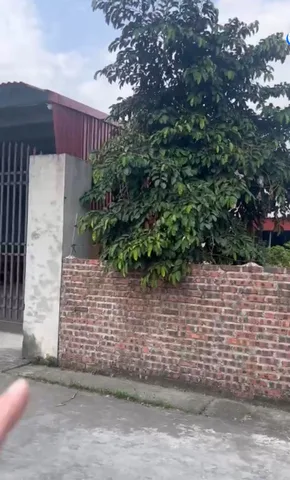 Bất động sản tại Hải Phòng - ảnh 1