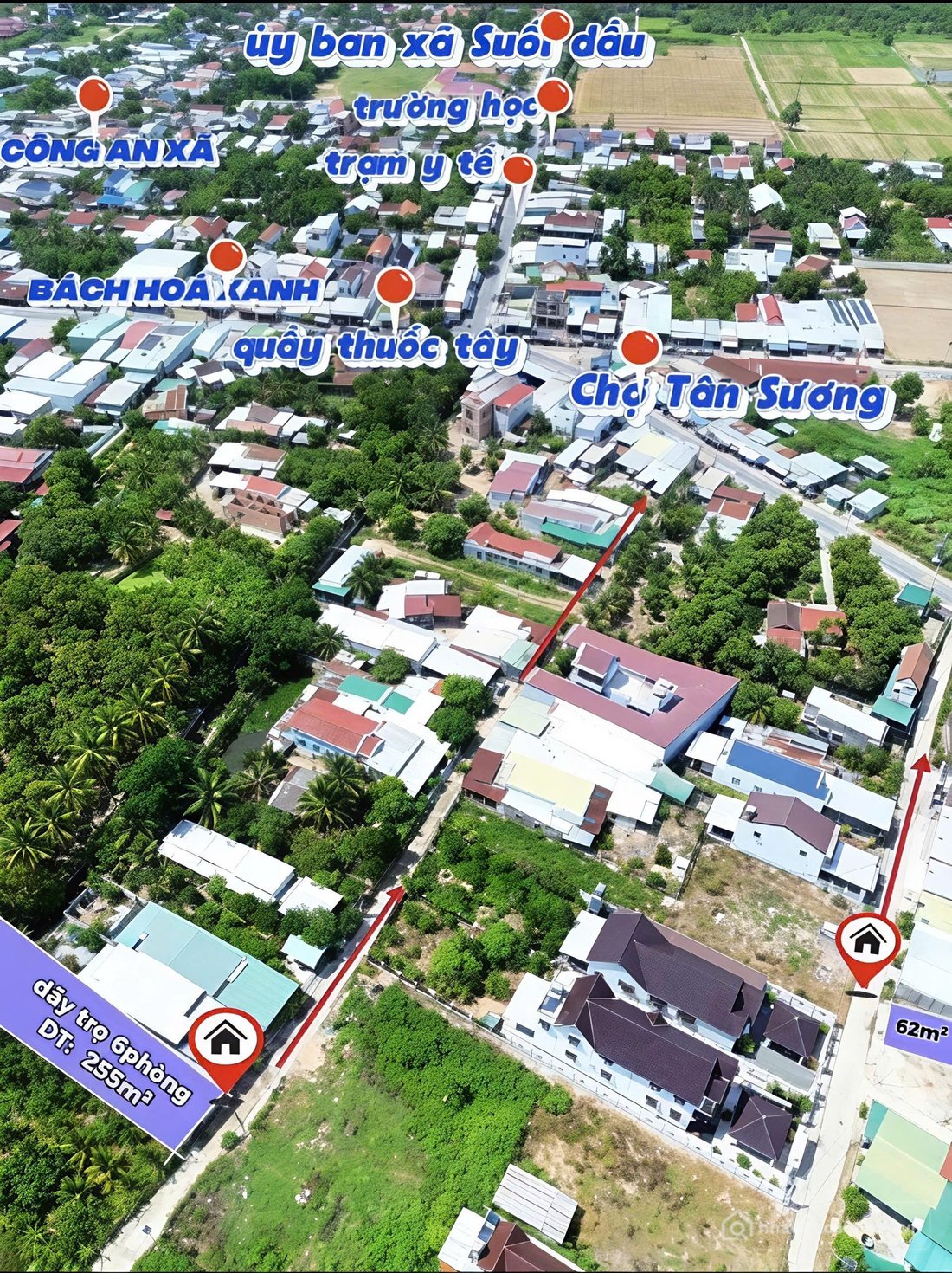 Bất động sản tại Khánh Hòa - ảnh 1