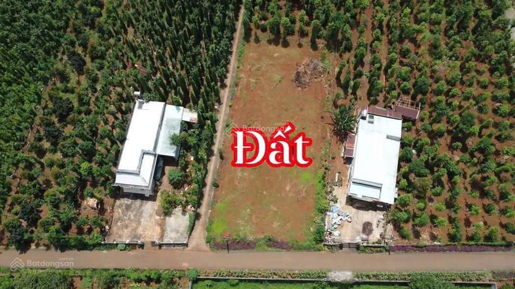 Bất động sản tại Bà Rịa - Vũng Tàu - ảnh 1