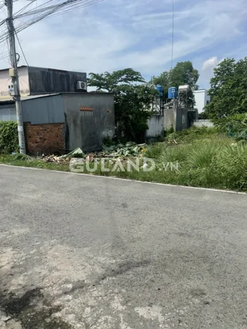 Bất động sản tại Bình Dương - ảnh 1