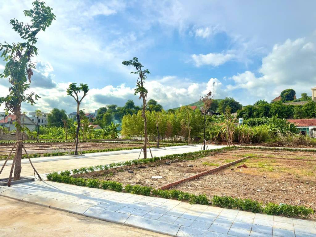 Bất động sản tại Quảng Ninh - ảnh 1