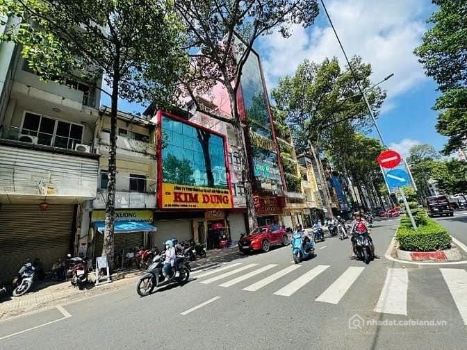 Bất động sản tại TP. Hồ Chí Minh - ảnh 1