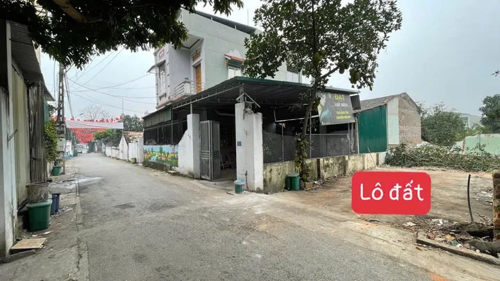 Bất động sản tại Vĩnh Phúc - ảnh 1