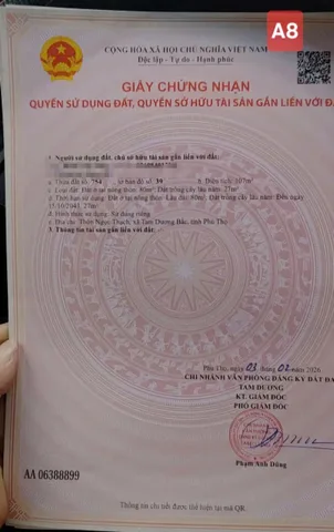 Bất động sản tại Phú Thọ - ảnh 1