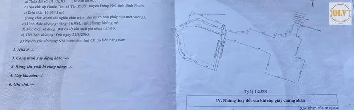 Bất động sản tại Bình Phước - ảnh 1