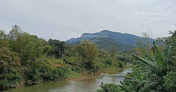 Bất động sản tại Quảng Nam - ảnh 1