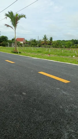 Bất động sản tại Bình Dương - ảnh 1