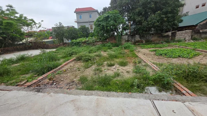 Bất động sản tại Hưng Yên - ảnh 1
