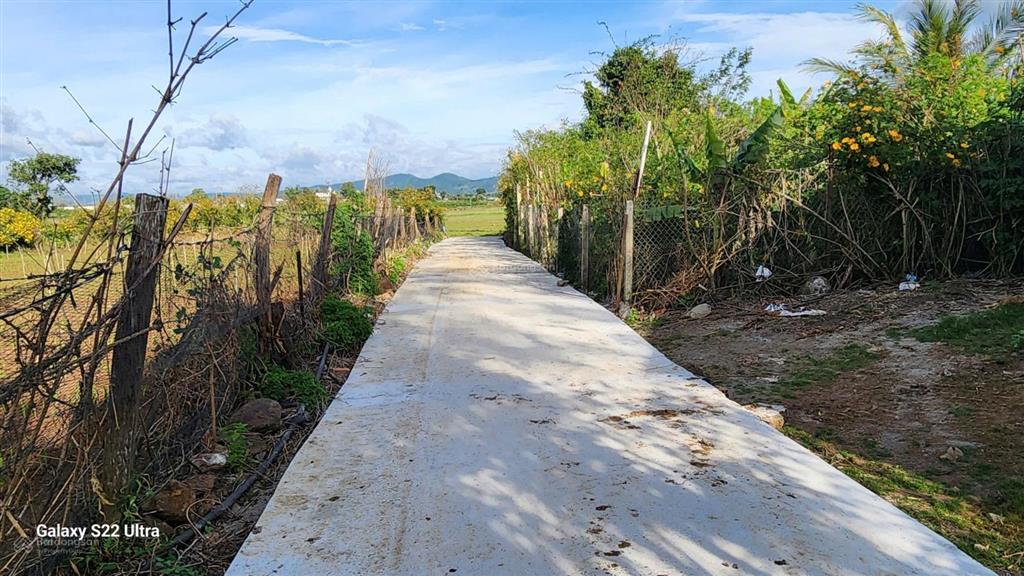 Bất động sản tại Lâm Đồng - ảnh 1