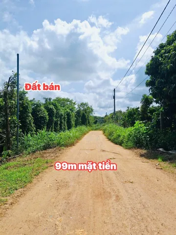 Bất động sản tại Đắk Lắk - ảnh 1