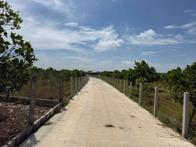 Bất động sản tại Bà Rịa - Vũng Tàu - ảnh 1