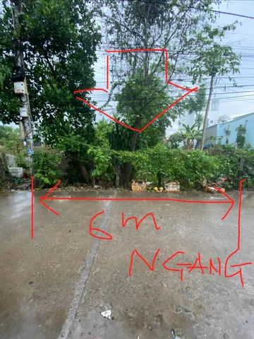 Bất động sản tại Bình Dương - ảnh 1