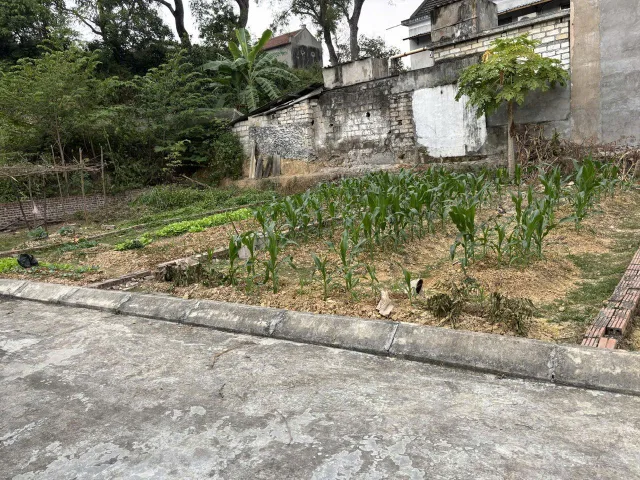 Bất động sản tại Hải Phòng - ảnh 1