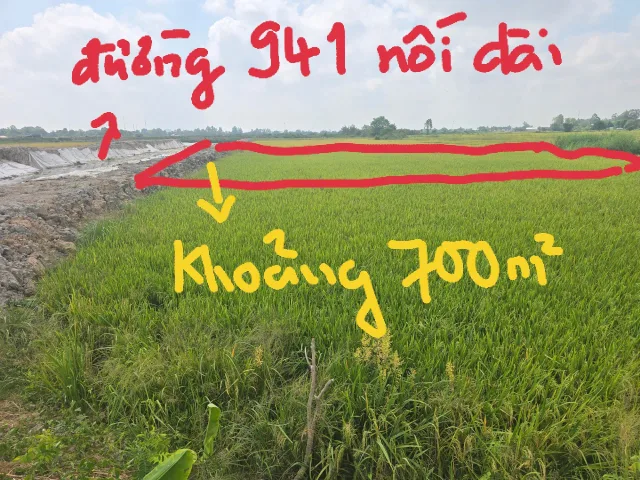 Bất động sản tại An Giang - ảnh 1