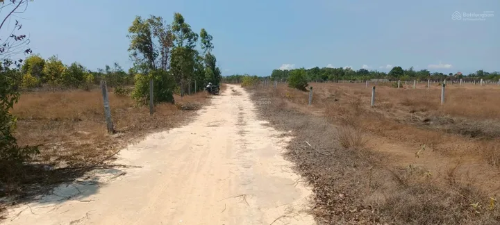 Bất động sản tại Lâm Đồng - ảnh 1