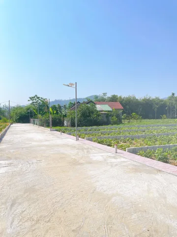 Bất động sản tại Thừa Thiên Huế - ảnh 1