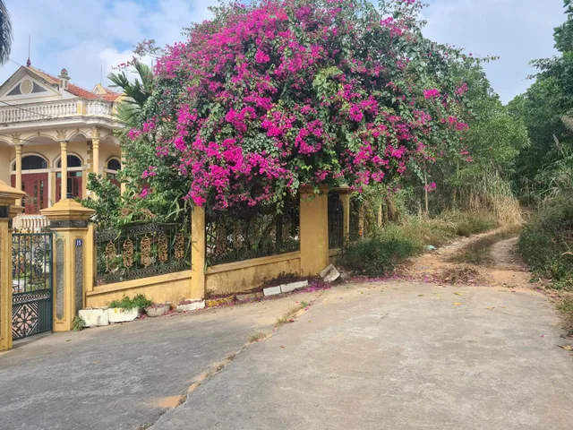 Bất động sản tại Quảng Ninh - ảnh 1