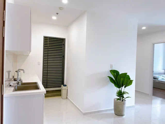 Bất động sản tại TP. Hồ Chí Minh - ảnh 1