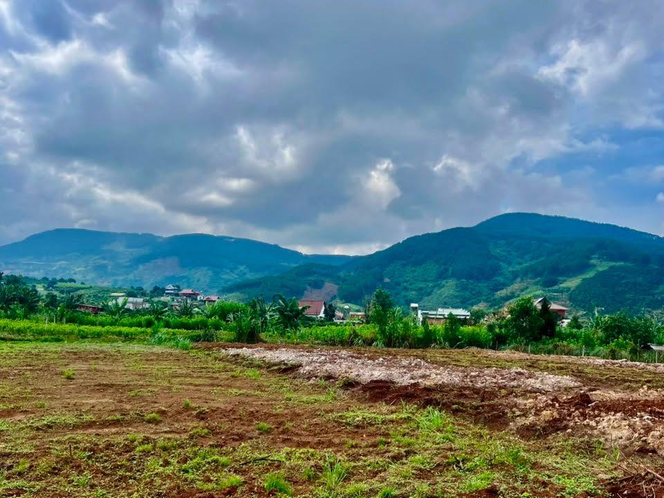 Bất động sản tại Lâm Đồng - ảnh 1