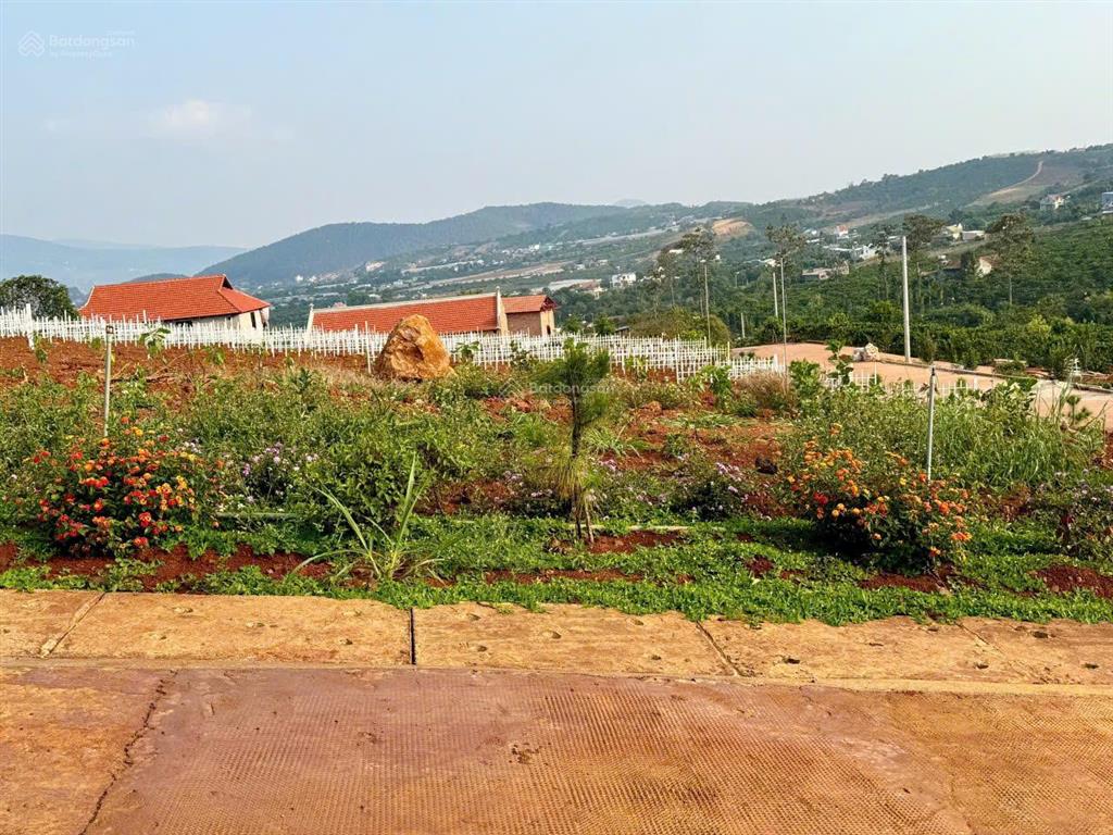 Bất động sản tại Lâm Đồng - ảnh 1
