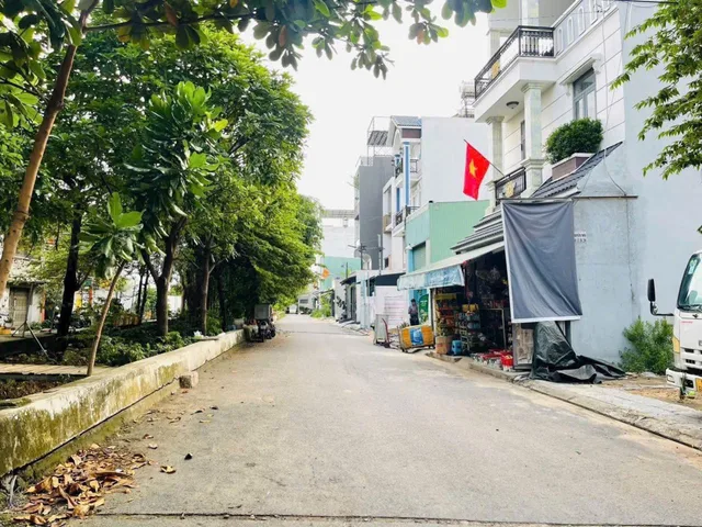 Bất động sản tại TP. Hồ Chí Minh - ảnh 1