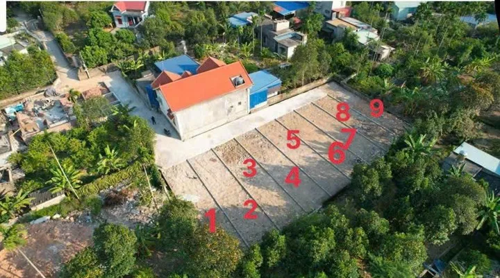 Bất động sản tại Hải Phòng - ảnh 1
