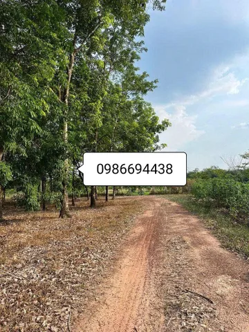 Bất động sản tại Bình Dương - ảnh 1