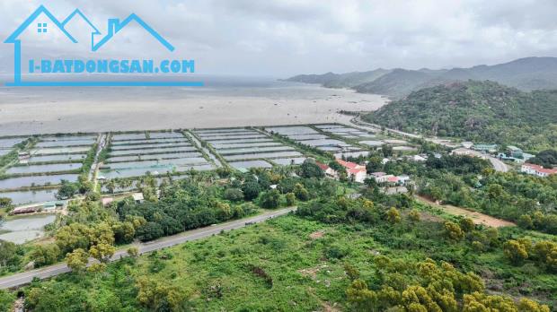 Bất động sản tại Khánh Hòa - ảnh 1