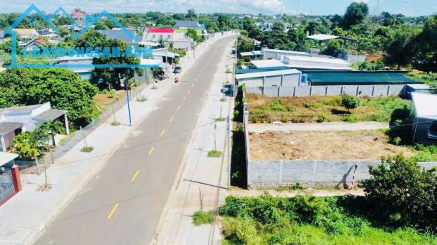 Bất động sản tại Bà Rịa - Vũng Tàu - ảnh 1