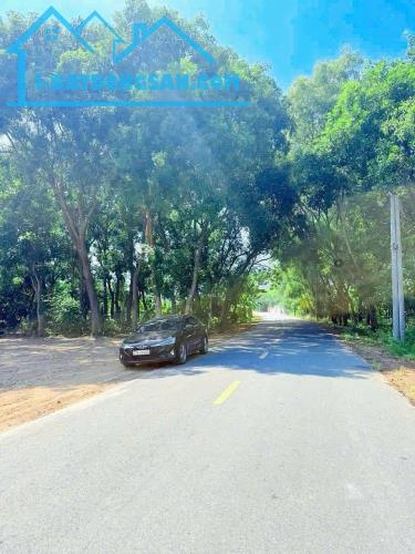 Bất động sản tại Bà Rịa - Vũng Tàu - ảnh 1