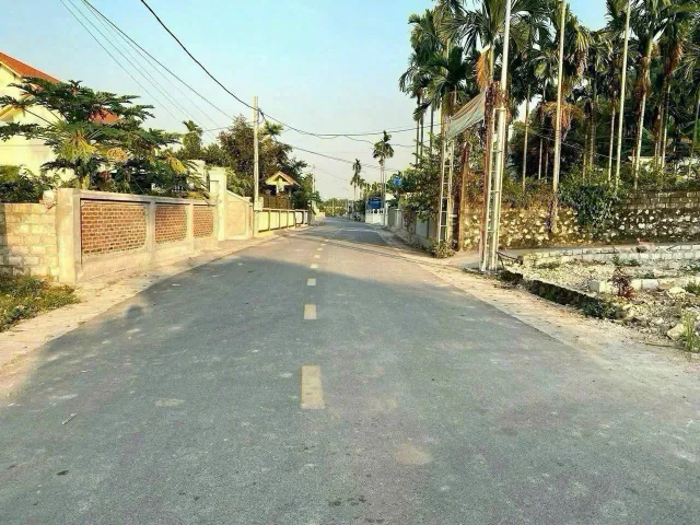 Bất động sản tại Hải Phòng - ảnh 1