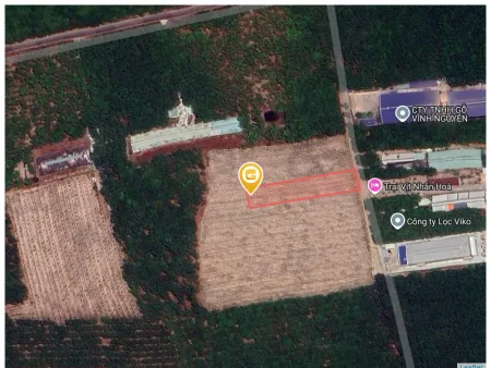 Bất động sản tại Bình Dương - ảnh 1