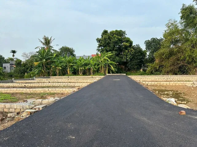 Bất động sản tại Hải Phòng - ảnh 1