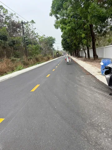 Bất động sản tại Bình Dương - ảnh 1