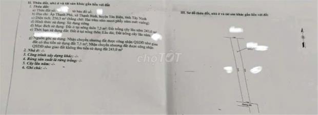 Bất động sản tại Tây Ninh - ảnh 1