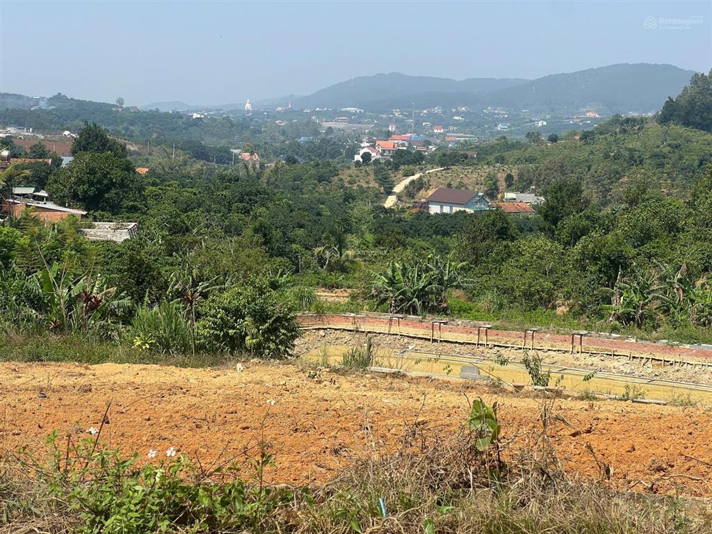 Bất động sản tại Lâm Đồng - ảnh 1