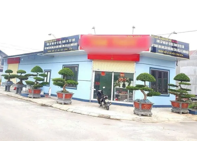 Bất động sản tại Bắc Ninh - ảnh 1
