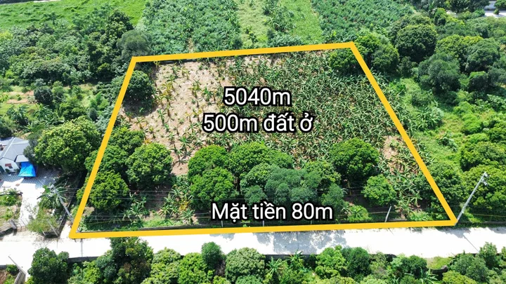 Bất động sản tại Phú Thọ - ảnh 1