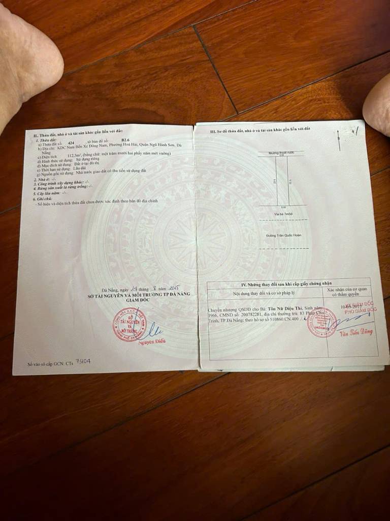 Bất động sản tại Đà Nẵng - ảnh 1