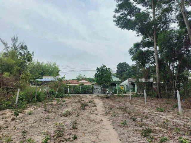 Bất động sản tại Bình Dương - ảnh 1