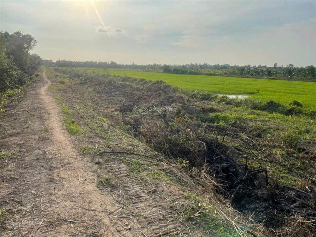 Bất động sản tại Tây Ninh - ảnh 1