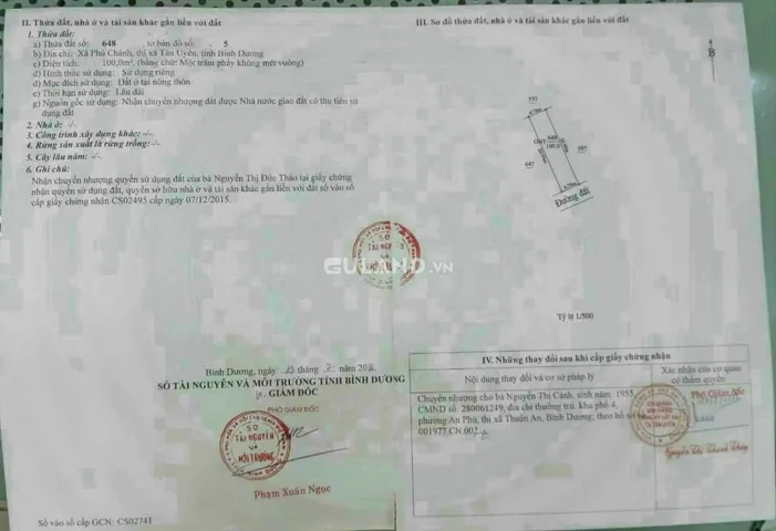Bất động sản tại Bình Dương - ảnh 1