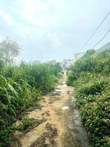 Bất động sản tại Lâm Đồng - ảnh 1