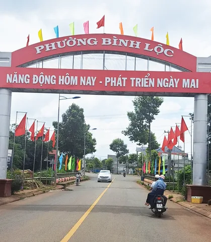 Bất động sản tại Đồng Nai - ảnh 1